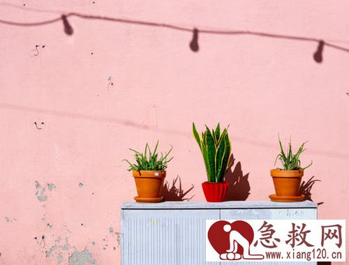 对于伤口急救的方法我们要注意哪些