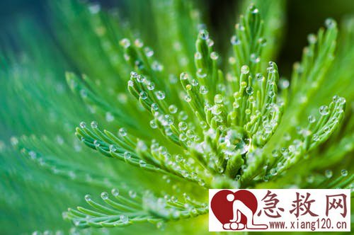 在家出现意外情况该如何解决，让你了解日常急救