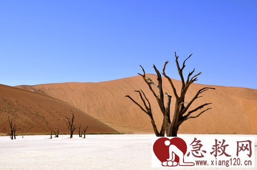 下水游泳时，该注意什么？