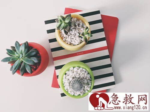 如果溺水该如何急救