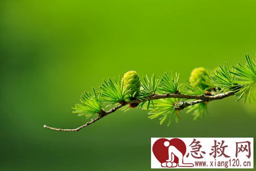 家电也有防止雷击
