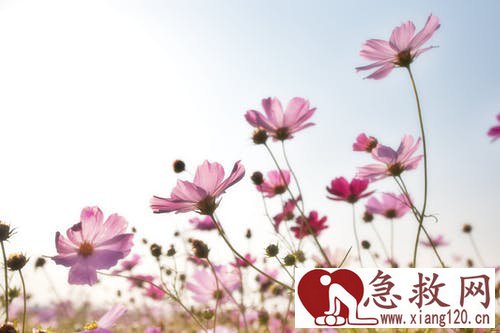 户外活动时医药包应随身带