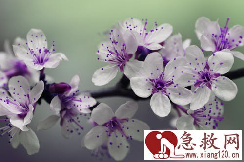 经常服用安眠药，有哪些危害？