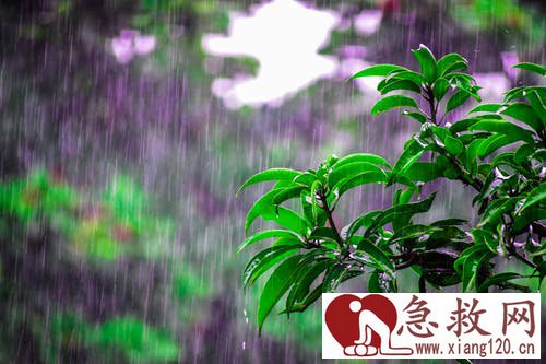 喝酒喝到胃出血怎么办？