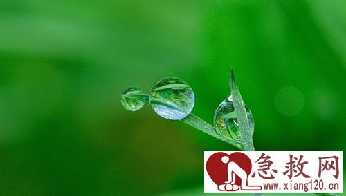 骨折急救需要注意哪些